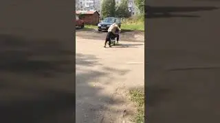 Давай прокачу!машина дети малыш сосед ребёнок
