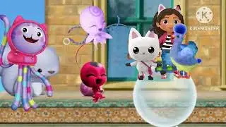 3rd and Animal - Gabby, Pandy & Missy made up the 1st Part of the building