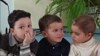 Спасение собаки Салли (ДИ)