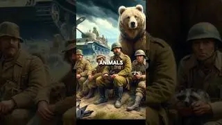 Amazing Unknown World War Facts! #shorts #history #world #facts