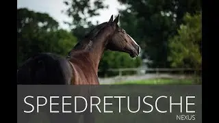 Speedretusche - Nexus