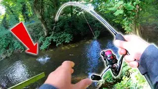 These FISH CRUSH the BUGS! Lure Fishing For Chub?!