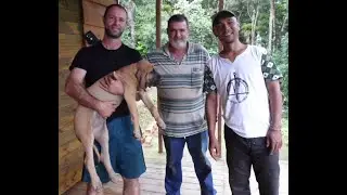 FILA BRASILEIRO - PARTIU O SEGUNDO SUPER FILHOTE, TCHAU BRUTUS DA CHACARA TERAMOTO