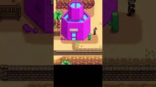 The Pirate's Wife Quest - Stardew Valley