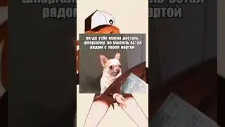 meme