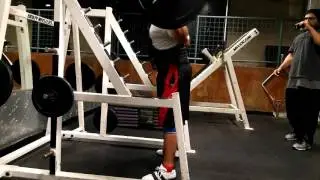 SUNNY SQUAT 420 FOR 3