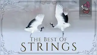 The Best Of Strings