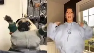Dance Battle with Charli Damelio | Viral TikTok