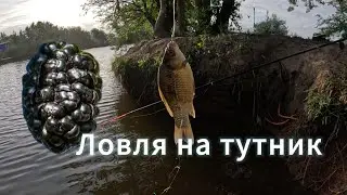 Ловим рыбу на тутник, отмечаем День России!