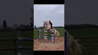 Little Girl Riding a Big Horse 🐎