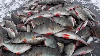 Опасный, Но Клёвый Первый Лёд! Зимняя Рыбалка На Окуня Началась!