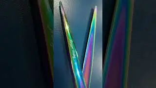 Tesoura reta pet 8 polegadas