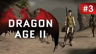 Dragon Age II #3
