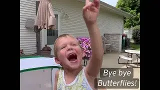 Releasing butterflies