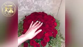 СА Б1АЬРСА ИР ДИНА СЕРЛО ХЬО😍😻