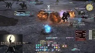 FFXIV || Endwalker || Sage Gameplay