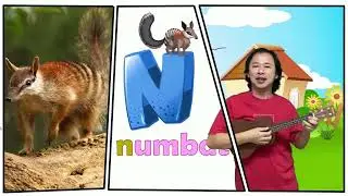 Animal Alphabet A-Z