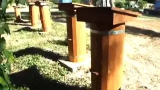 Как Правильно Хранить Пергу