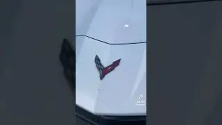 Show you then what you drive trend TikTok: alliebasile #shorts