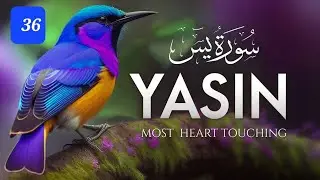 Surah 36 Yaseen #surahyaseen #quran #tilawat #pakistan #pubgmobile #pti #allah #dua