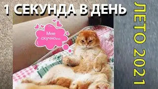 1 секунда каждый день. МОЁ ЛЕТО 2021 // 1 second every day. MY SUMMER 2021 ☀️