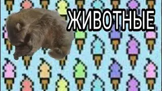 Животные