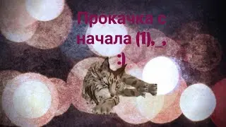 Прокачиваю основной аккаунт))). Вернулась в wild