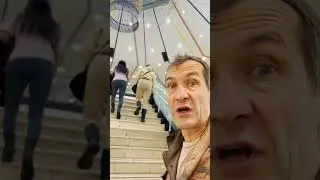 Израиль. Девушки твоей мечты [18+]