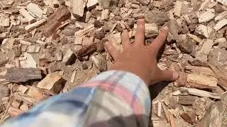 Petrified forest. These wood chips are actually rocks 🤪