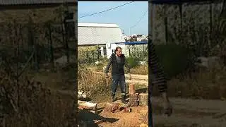 В ритме