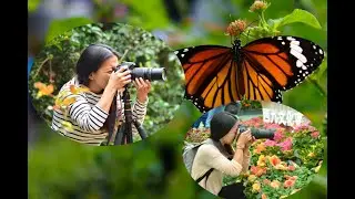 My Flower Collection Photo