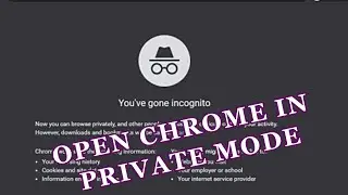 Private Mode Always in Google Chrome, Chromium or any of its variants in #macos #Apple