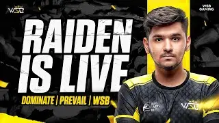 GRIND FOR SKY| WSBraiden | TEAM WSB