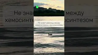 Заходи в мой тг-канал biotonya и забирай бесплатный план подготовки к ОГЭ по биологии 