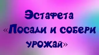 Эстафета «Посади и собери урожай».