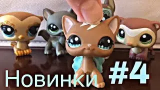 LPS: Новинки #4
