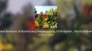 National Anthem of Bosnia and Herzegovina, VON Karkin, World Kidnes Day