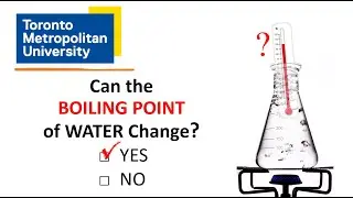 Quiz on the Saturation Temperature of Water
