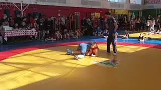 Hakobyan Artur / Wrestling