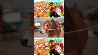 কোরবান সং❤️🐂 #কোরবানি #korbanirhut #qurbanicollection #Qurbanisong #robinerry