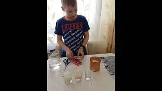 Опыт с дрожжами. Урок 25