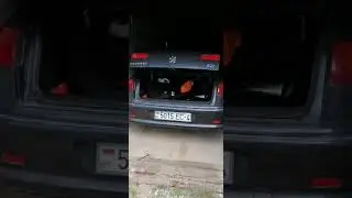 Закрывание багажника с брелка(ключа) пежо 607