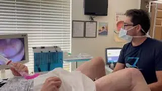 Catheter Insertion With Stylet