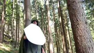 White shield and viking sword
