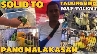 MAY TALENT TALKING BIRD MERON DIN PANG MALAKASAN KAY BOSS YOB