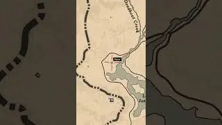 Rare Items in RDR2 