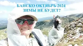 БАНСКО: ЗИМЫ НЕ БУДЕТ?