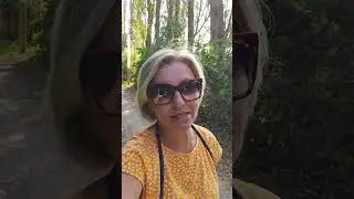 Рабсияне..