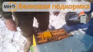 Даем белковую подкормку для пчел