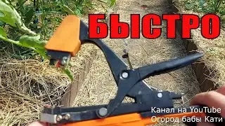 Как при помощи тапенера или степлера для подвязки растений, быстро подвязать томаты в саду.